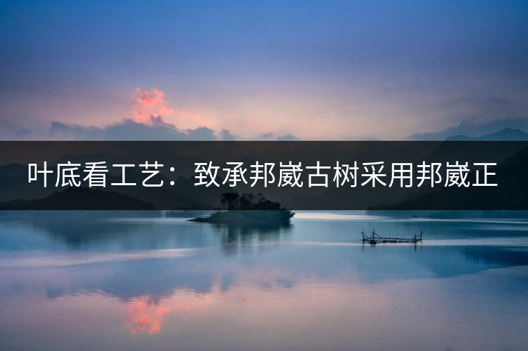 葉底看工藝：致承邦崴古樹采用邦崴正山三百至五百年古茶樹頭春鮮葉。經(jīng)手工殺青，石墨壓制，餅型周正，嚴(yán)守傳統(tǒng)工藝；葉底鮮活，幾乎無糊點(diǎn)，前期殺青較輕，這樣更利于后期轉(zhuǎn)化。