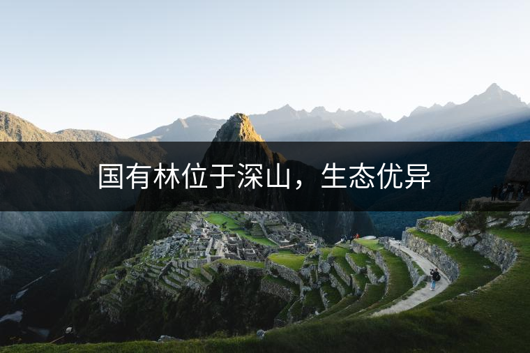 國有林位于深山，生態(tài)優(yōu)異