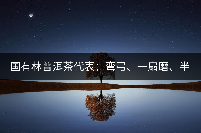 國有林普洱茶代表：彎弓、一扇磨、半坡老寨
