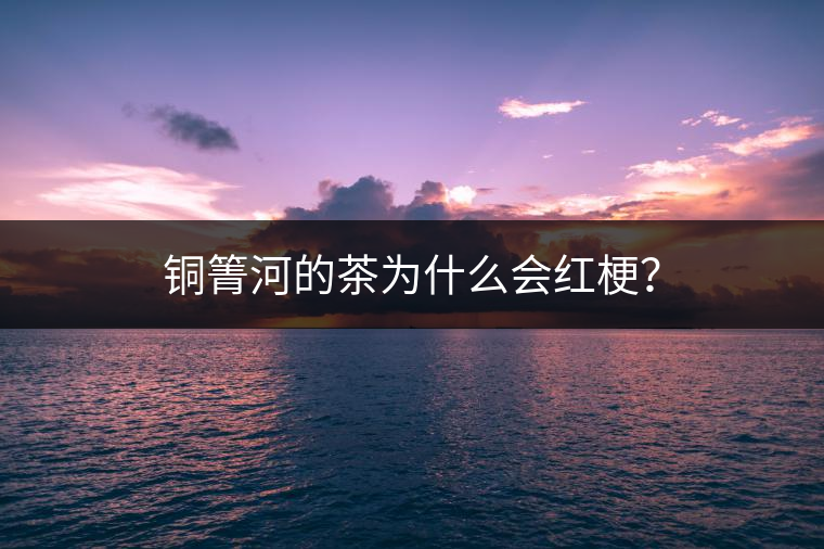 銅箐河的茶為什么會紅梗？