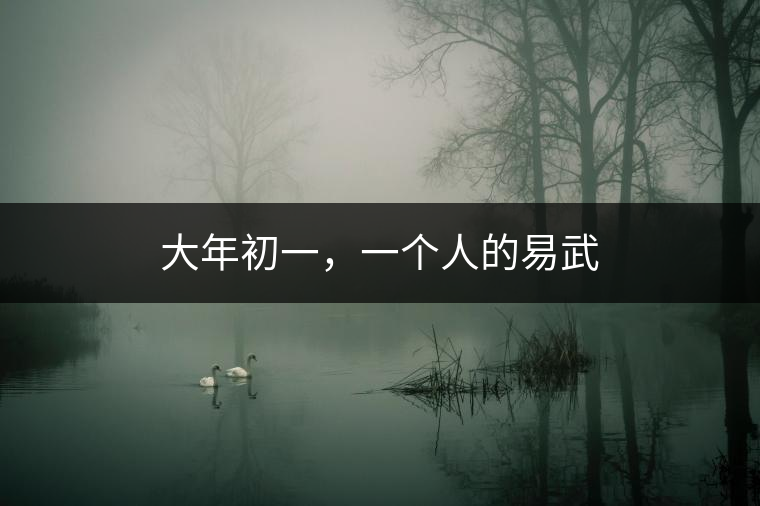 大年初一，一個人的易武