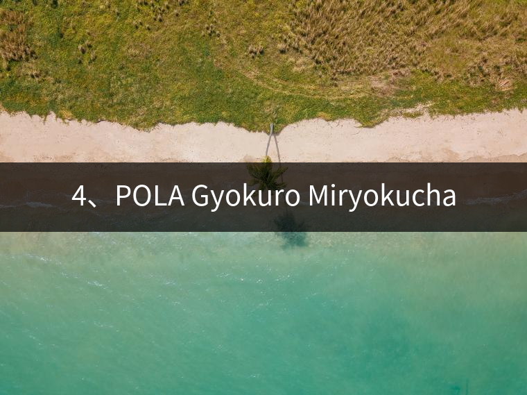 4、POLA Gyokuro Miryokucha