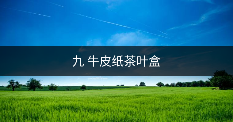 九 牛皮紙茶葉盒