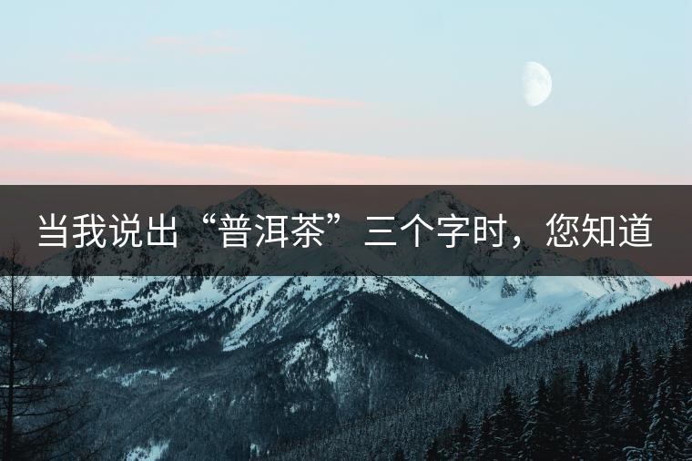當(dāng)我說(shuō)出“普洱茶”三個(gè)字時(shí)，您知道我在說(shuō)什么嗎？