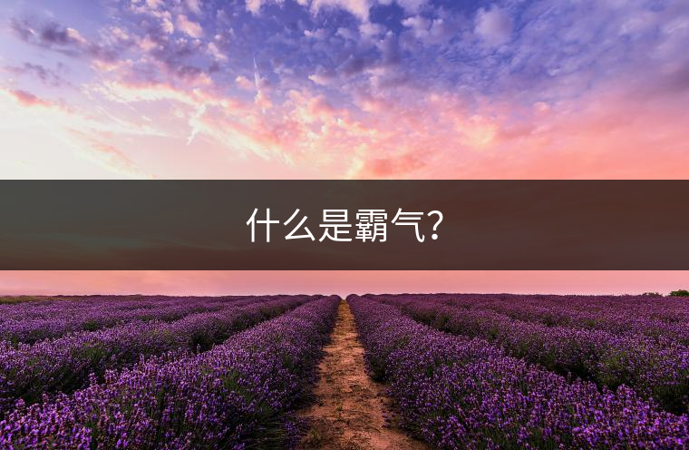 什么是霸氣？