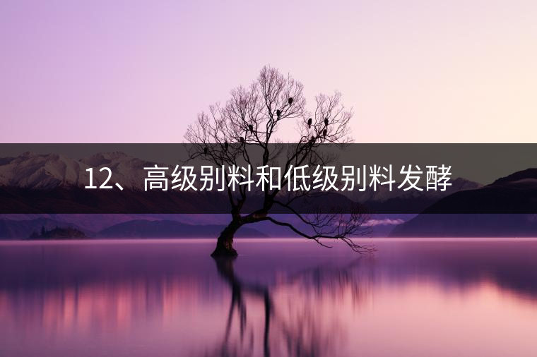 12、高級別料和低級別料發(fā)酵