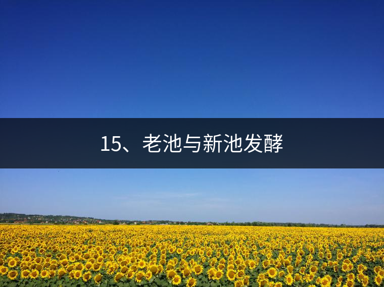 15、老池與新池發(fā)酵