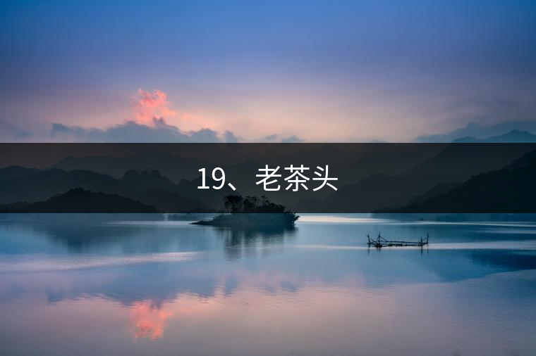 19、老茶頭