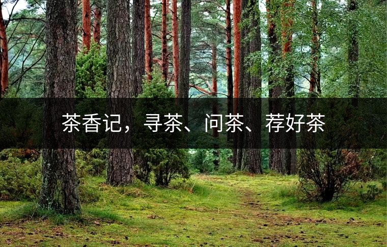 茶香記，尋茶、問茶、薦好茶