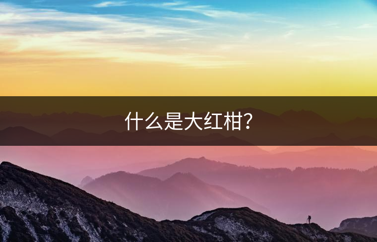 什么是大紅柑？