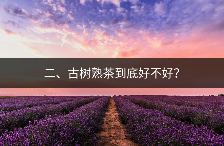 二、古樹熟茶到底好不好？