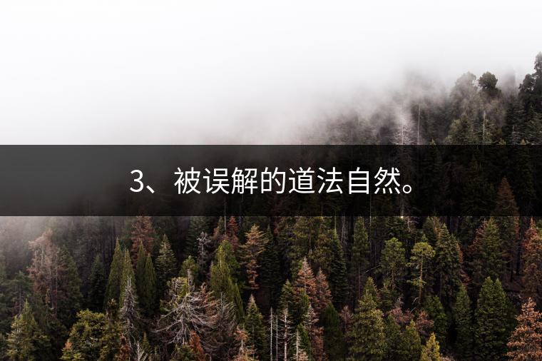 3、被誤解的道法自然。