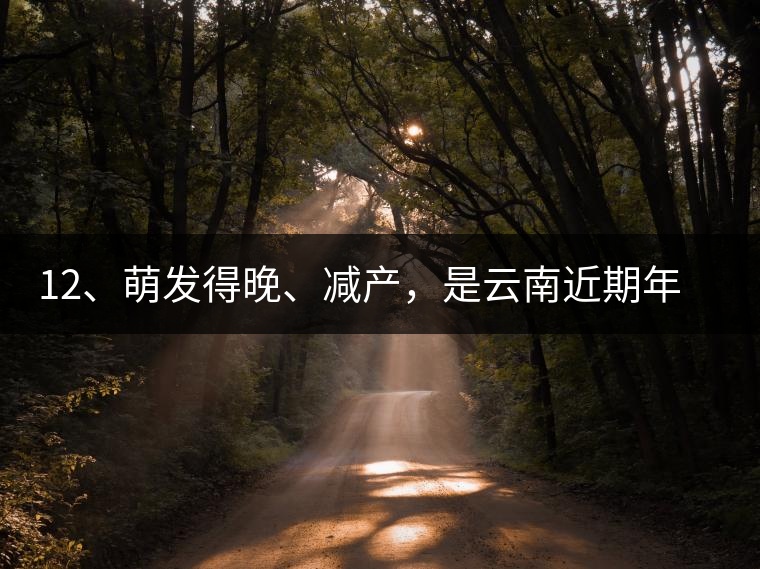 12、萌發(fā)得晚、減產(chǎn)，是云南近期年氣候變化在茶樹上的延遲反映。