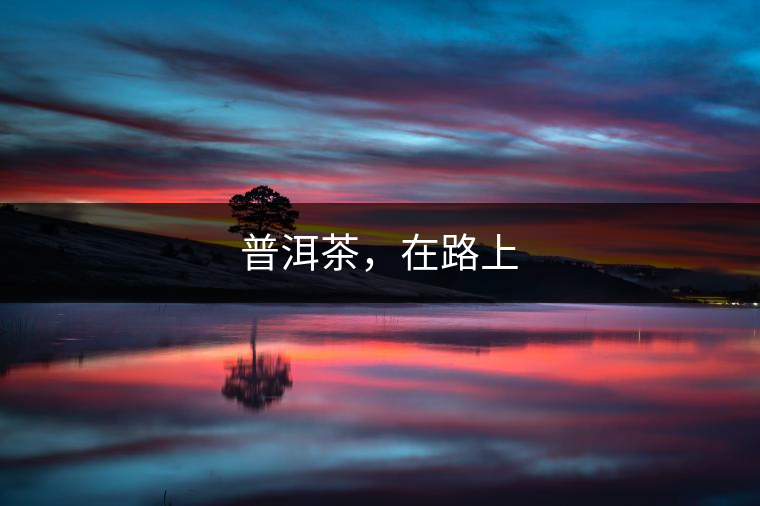普洱茶，在路上