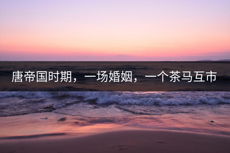 唐帝國時期，一場婚姻，一個茶馬互市，讓這里結(jié)束了漢藏對峙。宋代南茶北，西北茶馬司設(shè)立，因茶而改變的生活日益凸顯。元代八思巴與忽必烈在這一區(qū)域結(jié)盟，為蒙藏兩大民族交往鋪好通衢大道，明代俺答汗與達賴在山海之間追思各自先人，青海人宗喀巴創(chuàng)建的黃教通過蒙、藏兩大領(lǐng)袖的推廣，締造了影響至今的格局。大清經(jīng)過康、雍、乾三代勵精圖治，滿、藏、蒙各自龐大的疆域第一次完整地統(tǒng)轄在中央帝國的版圖下。