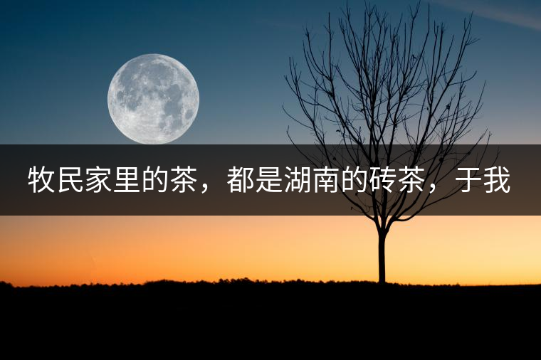 牧民家里的茶，都是湖南的磚茶，于我們而言不見得有多好，它們粗糙得看可見茶梗和樹枝，但于他們來說，卻是每日的生活必需品。端到桌上的茶碗，也是缺了口鋦過青花瓷碗，聞得見修補后的手溫，喝下加過鹽巴的磚茶，一身暖意，融化了深藏在發(fā)底的冰屑，溫暖著身心。