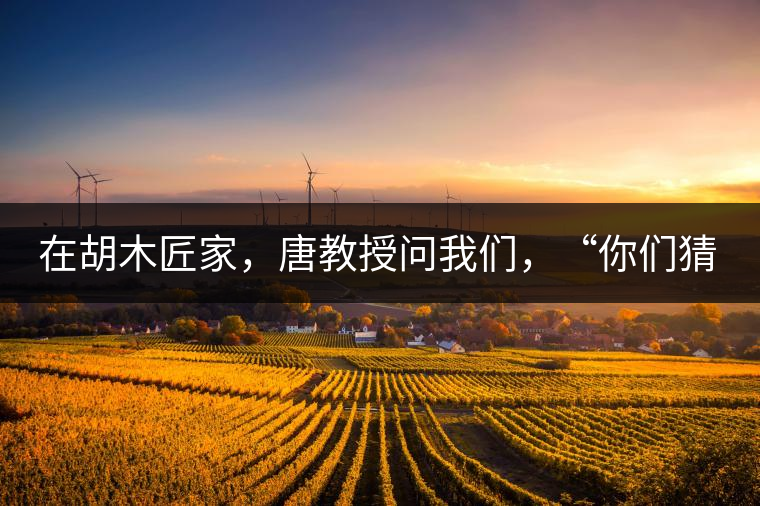 在胡木匠家，唐教授問我們，“你們猜猜他們家的茶放在哪里？”我們回答廚房、客廳都不對，“難道像寺院一樣，有專門的茶房不成？”教授和木匠都哈哈大笑，連連搖頭。在木匠的帶領(lǐng)下，我們來到主人的臥室，茶磚整齊有序地堆放在床頭柜里。一家之主的臥室，既是休息之所，亦是一家財富與傳家寶的收藏地。茶之精貴，毋需多言。