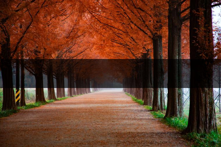 這樣的茶葉邊疆文化，也許是明代大學(xué)者解縉最樂意見到的。他曾說，中原最好的東西就是茶，而番人最好的就是馬。他贊同明廷茶馬互市的國策：茶之于夷人，如同中國之酒醴，因為茶馬貿(mào)易，許多夷人也開始學(xué)習(xí)中國的知識，對中國也有了向慕之心，那么茶的作用就很顯然，茶有著“夷夏之交，義利之辨，寅賓尚忠信而篤敬，河州固唐虞三代之邦也。”
茶不僅僅是一種飲品，還有其他。茶作為媒介，體現(xiàn)了觀念的變化。如今，隨著茶的傳播，各族人民有了更深入往來，通過貿(mào)易、文化、旅游等等。
陳渠珍從西藏抵達湟源區(qū)域時，也為這里的古風(fēng)所震驚：“余皆漢番雜處。風(fēng)俗婦女尚餞足，裙下蓮步不及三寸，服飾既古，文化尤卑，鄰居為私塾，當見一生久讀不能成誦，塾師罰之跪，以草圈罩頭上，頻加籌石，令其跪誦。余見駭然?！?
?
（摘自《海峽茶道》，2013年5期）