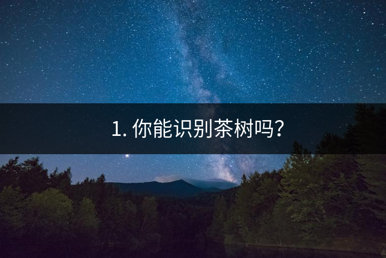 ??1. 你能識別茶樹嗎？