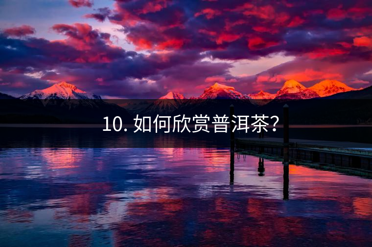 ? 10. 如何欣賞普洱茶？