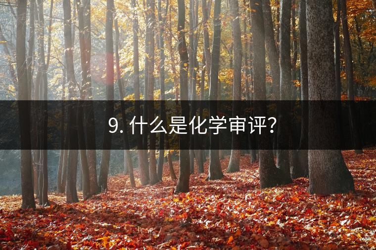 ? 9. 什么是化學審評？