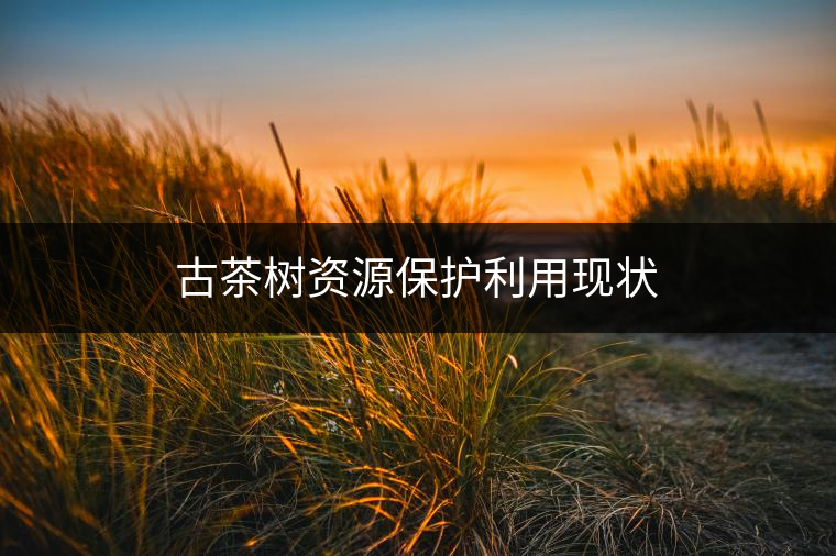 古茶樹(shù)資源保護(hù)利用現(xiàn)狀 古茶樹(shù)資源保護(hù)利用現(xiàn)狀