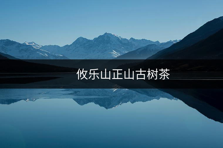 　　攸樂(lè)山正山古樹(shù)茶