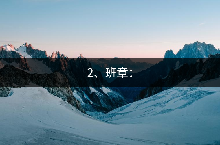 2、班章：