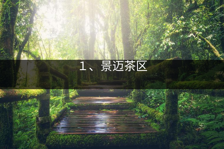 １、景邁茶區(qū)
?