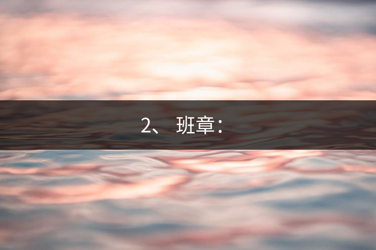 2、 班章：?