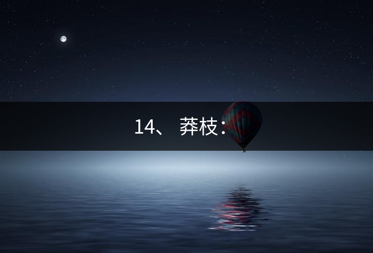 14、 莽枝：?