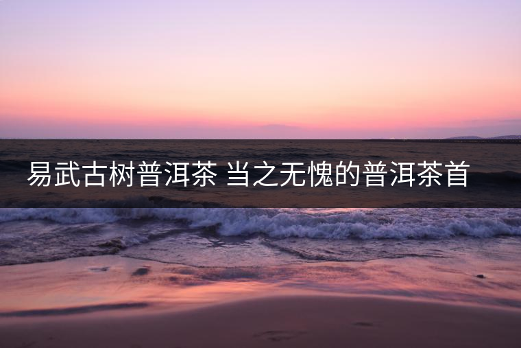 易武古樹普洱茶 當(dāng)之無愧的普洱茶首選