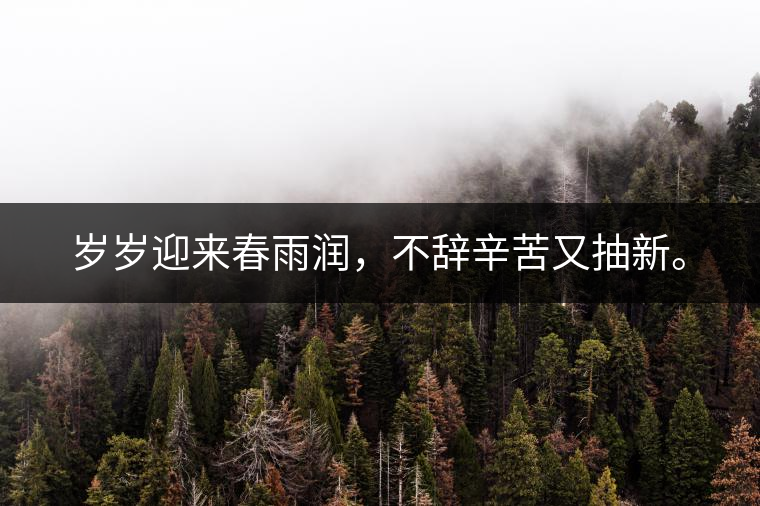 歲歲迎來春雨潤，不辭辛苦又抽新。