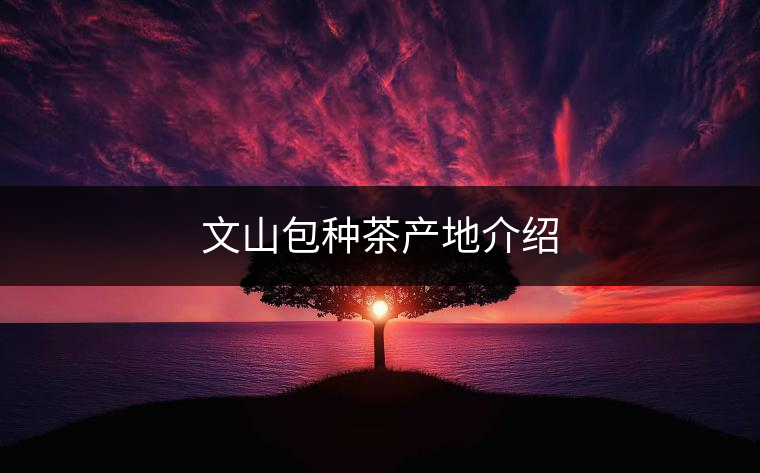 文山包種茶產(chǎn)地介紹