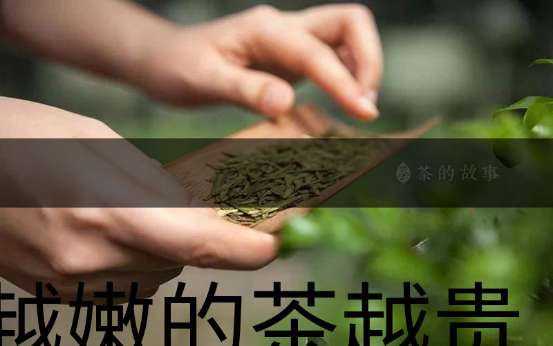 越嫩的茶越貴，但越貴的茶就越好嗎？