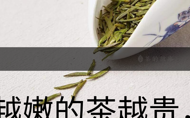 越嫩的茶越貴，但越貴的茶就越好嗎？-1