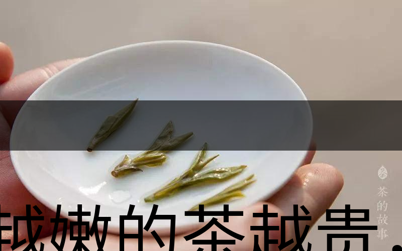 越嫩的茶越貴，但越貴的茶就越好嗎？-3