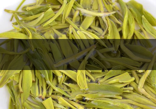 毛尖可以放多久-怎么保存好