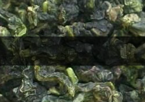 青茶怎么泡-能沖泡幾次-1