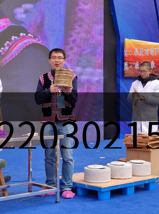 20220302154627952003