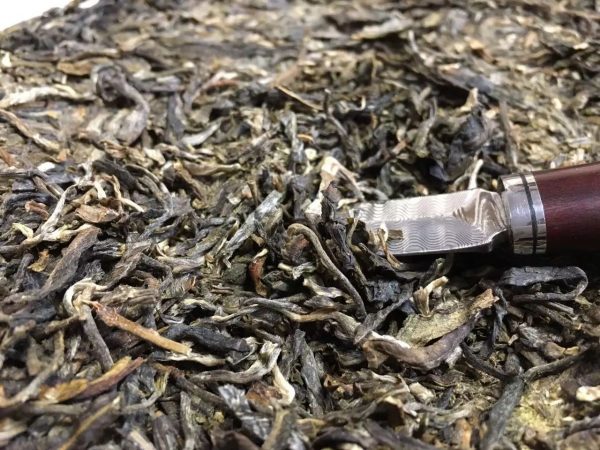 怎么樣泡好落水洞普洱茶？