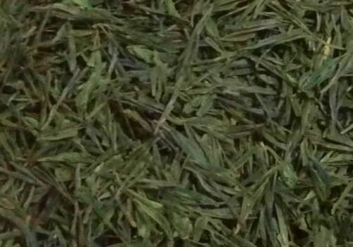 什么是海青茶？沖泡手法詳細(xì)教學(xué)！