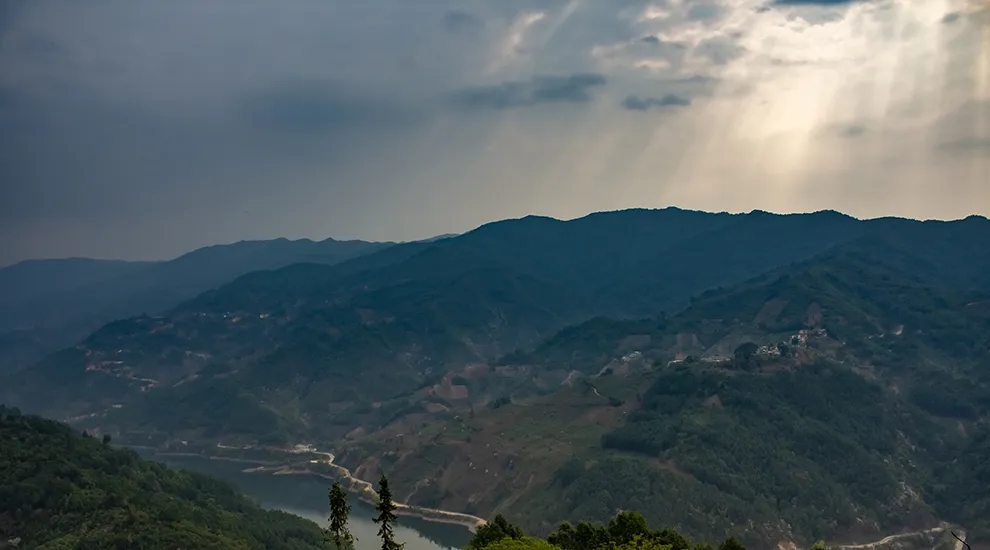 2021年磨烈：風(fēng)頭正勁的后起之秀，到底有何特點？