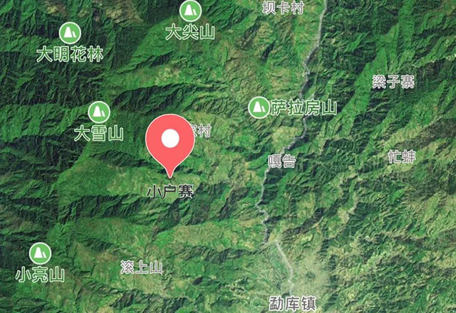 2021年小戶賽古樹秋茶有什么特點？