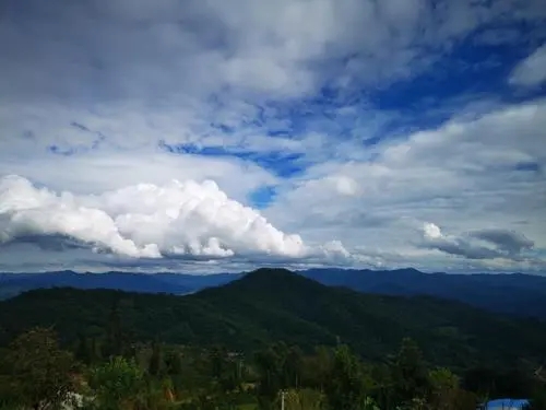 2021年那罕古樹秋茶口感？