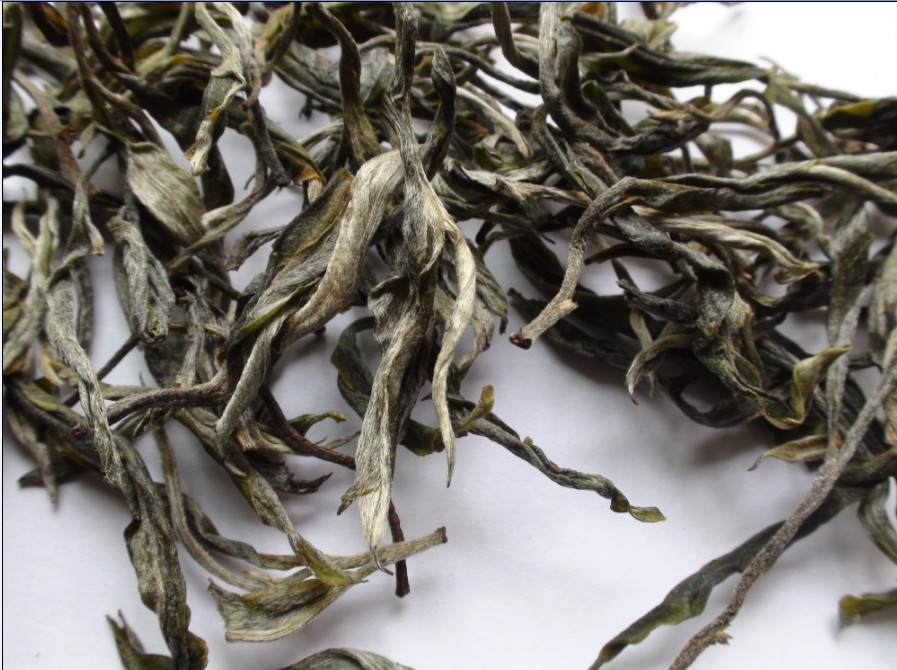 2021年馬鞍山古樹(shù)秋茶價(jià)格？