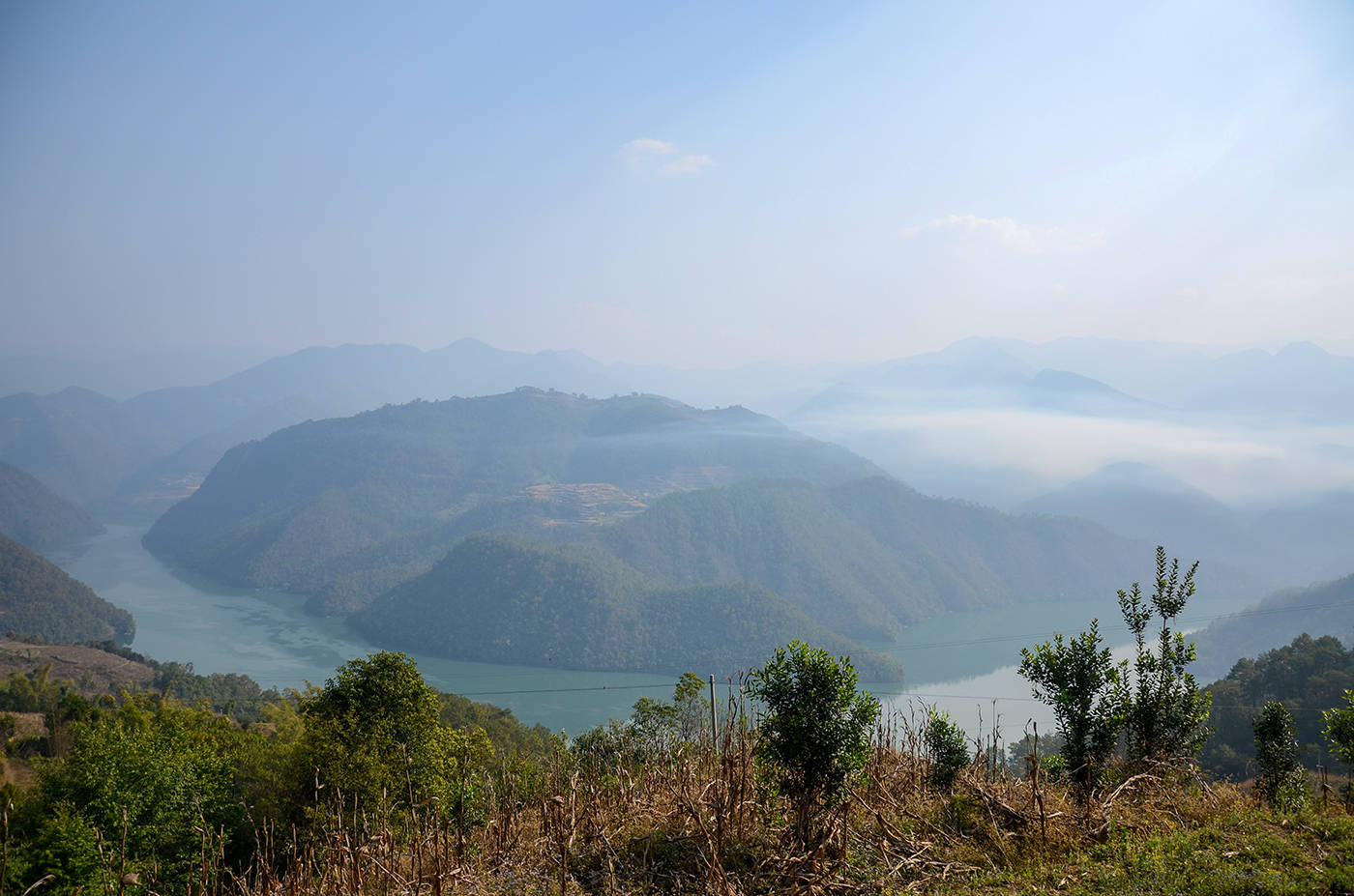 2021年白鶯山古樹秋茶，佛茶有什么魅力？