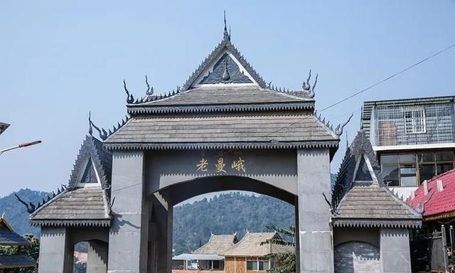 2021年老曼峨古樹秋茶特點？