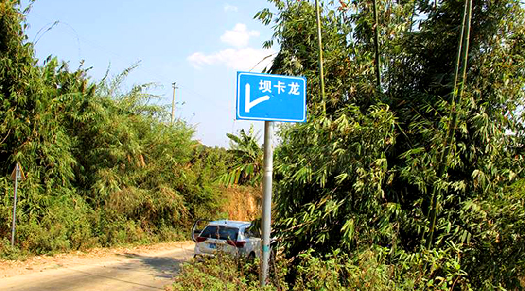 2021班章茶區(qū)壩卡竜古樹(shù)秋茶特點(diǎn)！