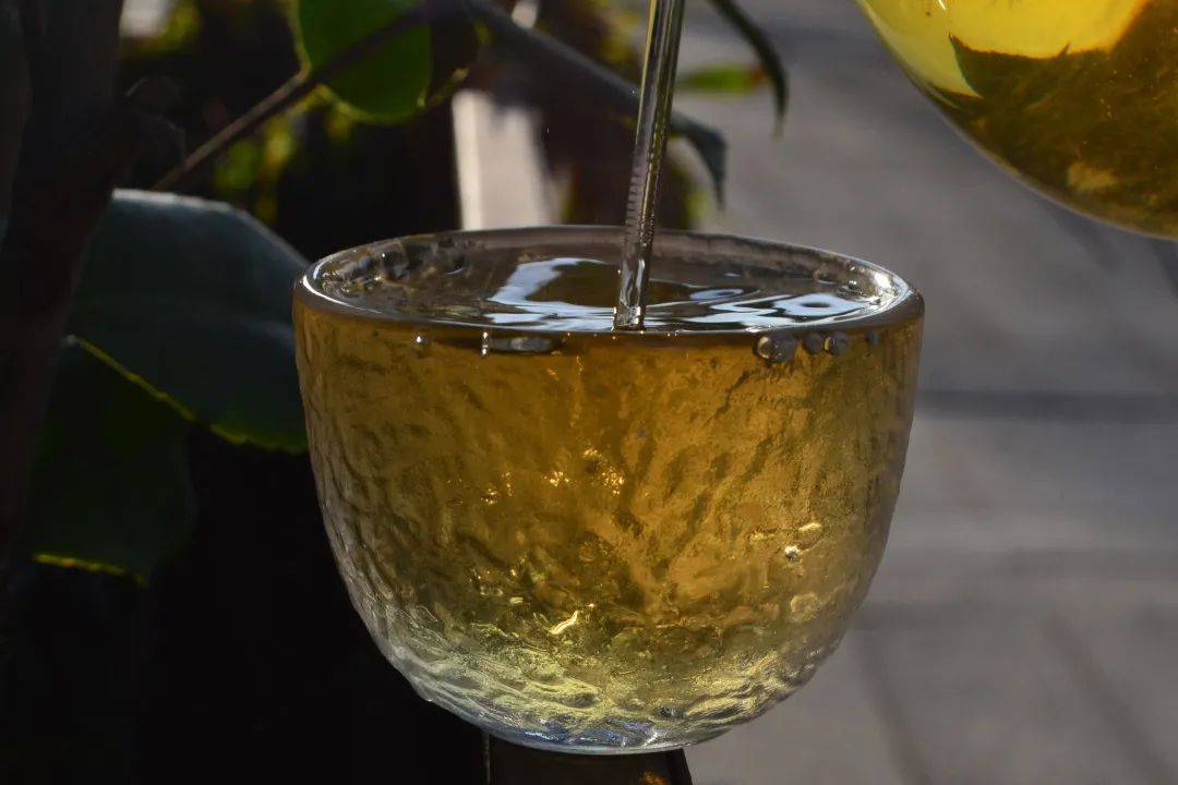 2021班章茶區(qū)壩卡竜古樹秋茶口感是什么？